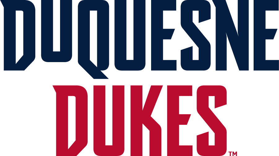 Duquesne Dukes 2019-Pres Wordmark Logo v2 diy iron on heat transfer